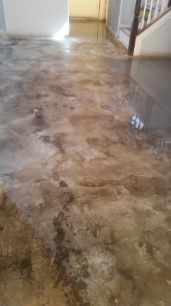 In Home Concrete Staining