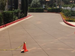 Commercial concrete driveway staining and sealing