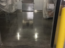 Concrete Sealing; Concrete Polishing. 