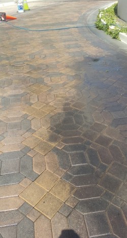 Paver cleaning