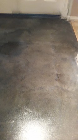 Kitchen Concrete Staining